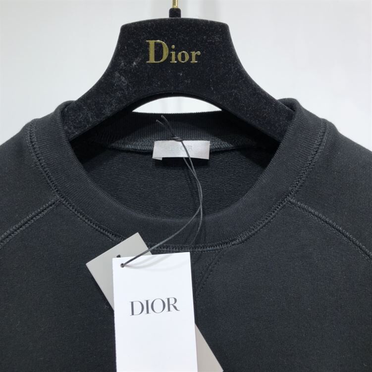 DIOR AND PETER DOIG HOODED SWEATSHIRT BLACK