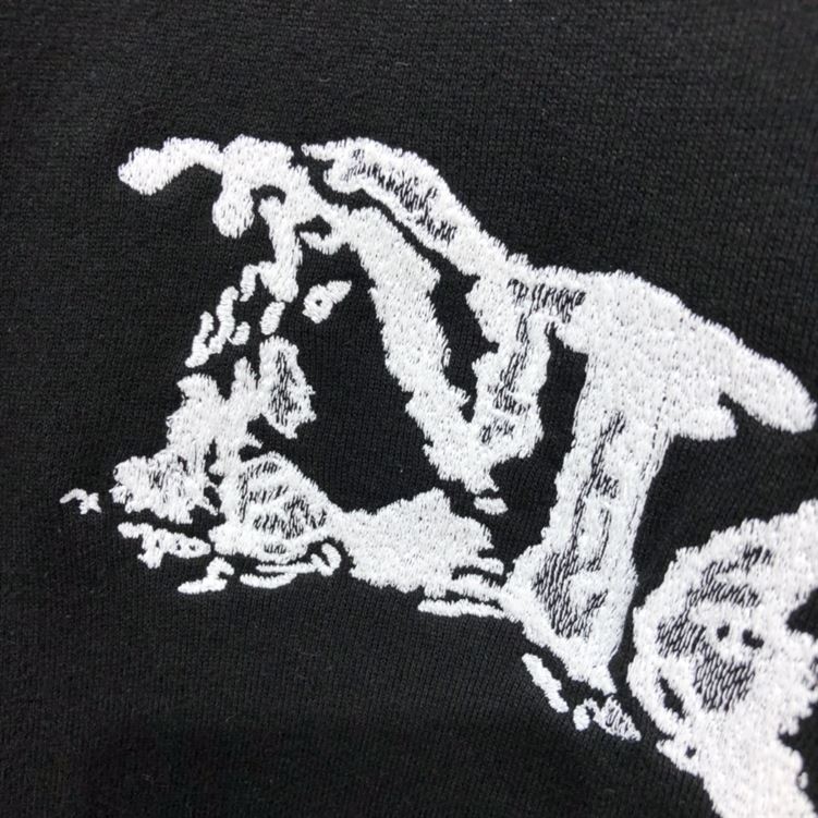 DIOR AND PETER DOIG HOODED SWEATSHIRT BLACK