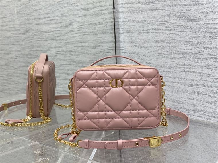 DIOR CARO BOX BAG ROSE DES VENTS QUILTED