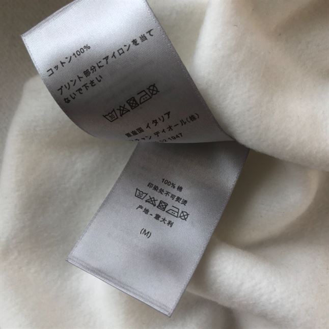 DIOR CD ICON HOODED SWEATSHIRT - DOS027