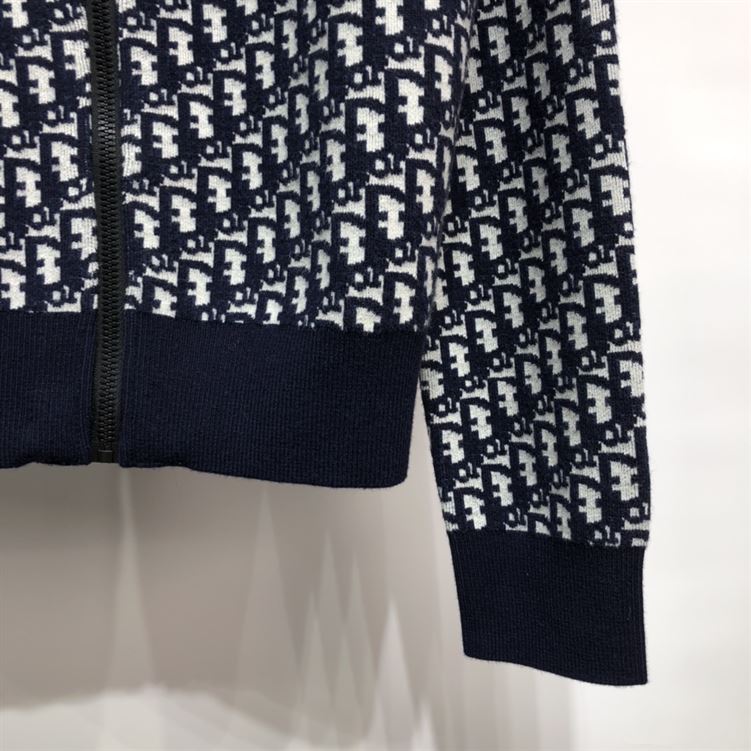 DIOR HOODIE - DOS011