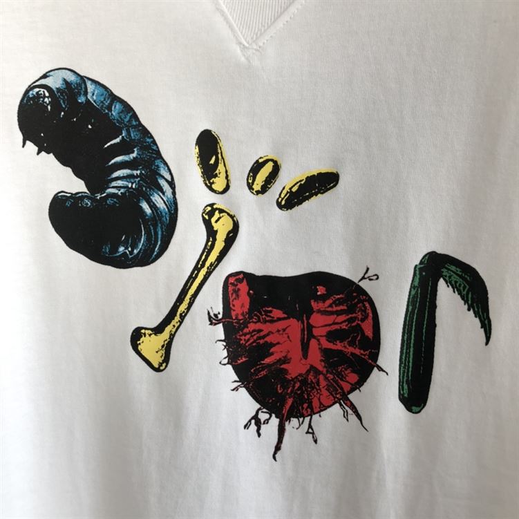 DIOR OVERSIZED CACTUS JACK DIOR T-SHIRT - DOT009