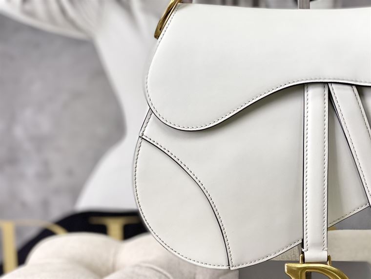 DIOR SADDLE BAG WITH STRAP