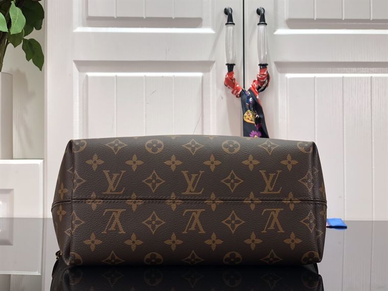 LOUIS VUITTON BOETIE PM MONOGRAM