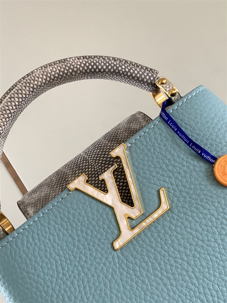 LOUIS VUITTON CAPUCINES MINI