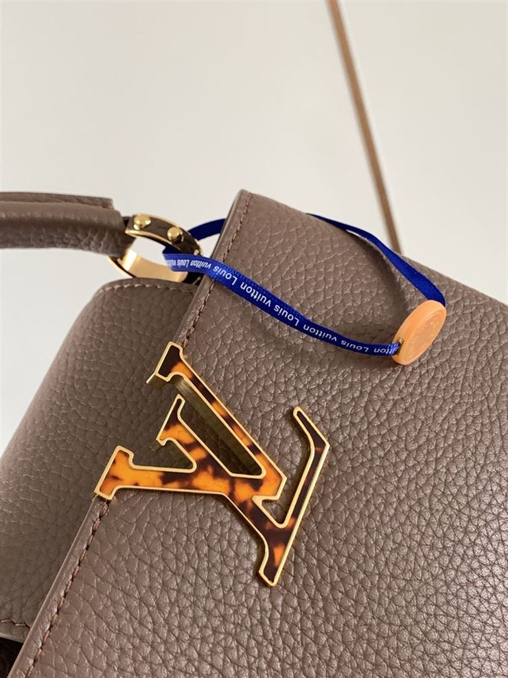 LOUIS VUITTON CAPUCINES MINI