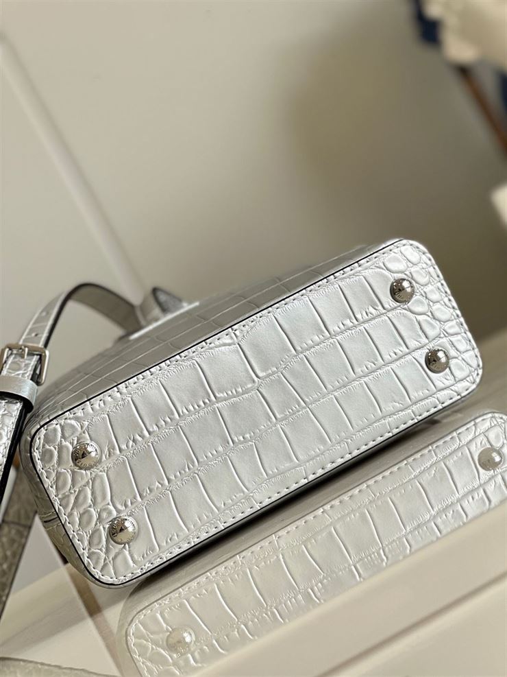 LOUIS VUITTON CAPUCINES MINI Silver