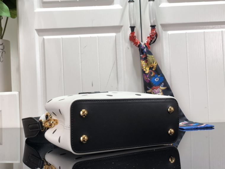 LOUIS VUITTON CAPUCINES MINI White and Black