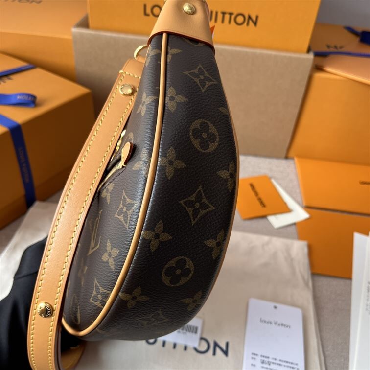 LOUIS VUITTON LOOP HANDBAG MONOGRAM BROWN