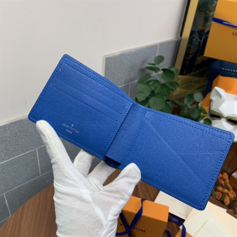 LOUIS VUITTON MULTIPLE WALLET