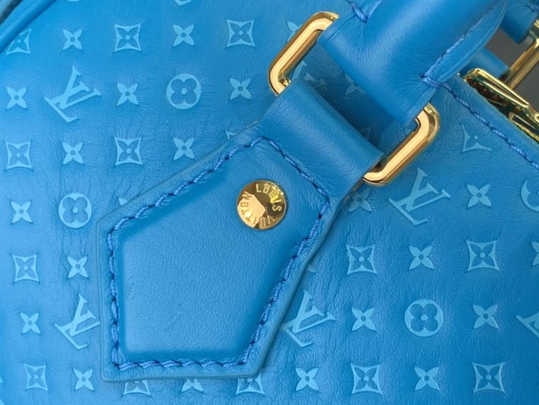 LOUIS VUITTON SPEEDY BANDOULIERE 20 Blue
