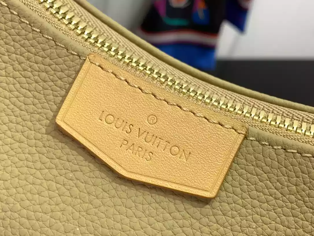 Louis Vuitton Bags