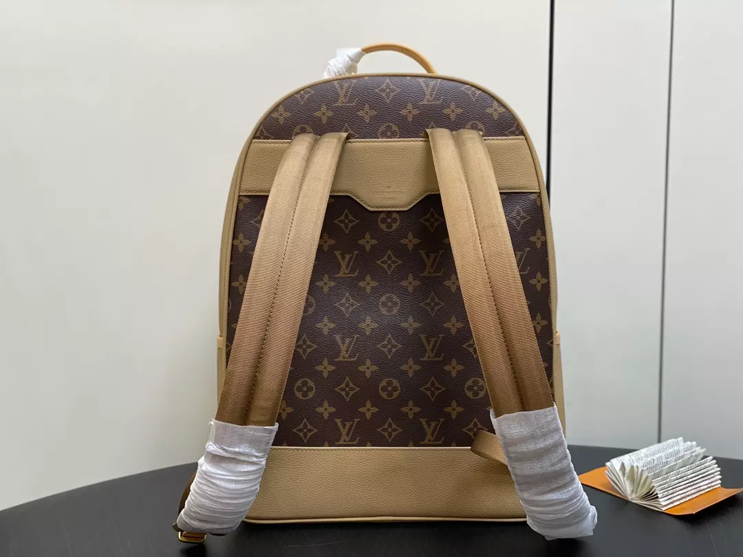 Louis Vuitton Bags