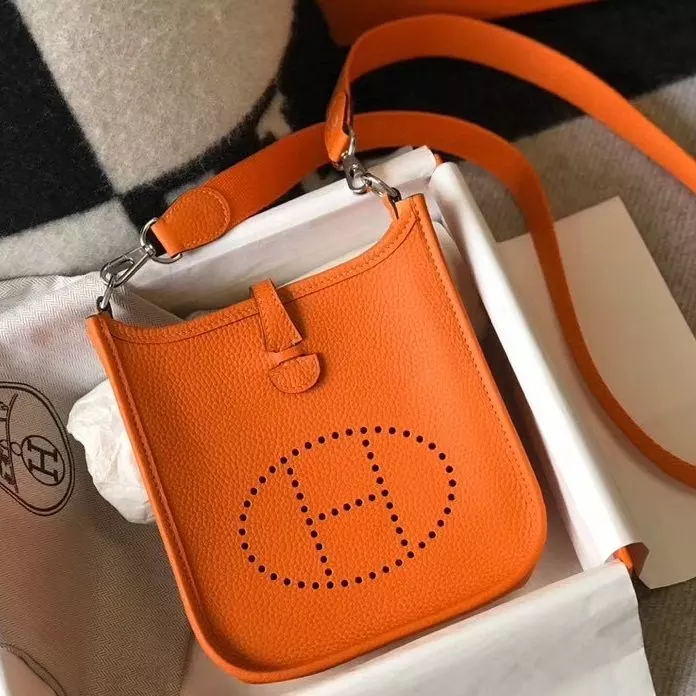 Hermes Bag