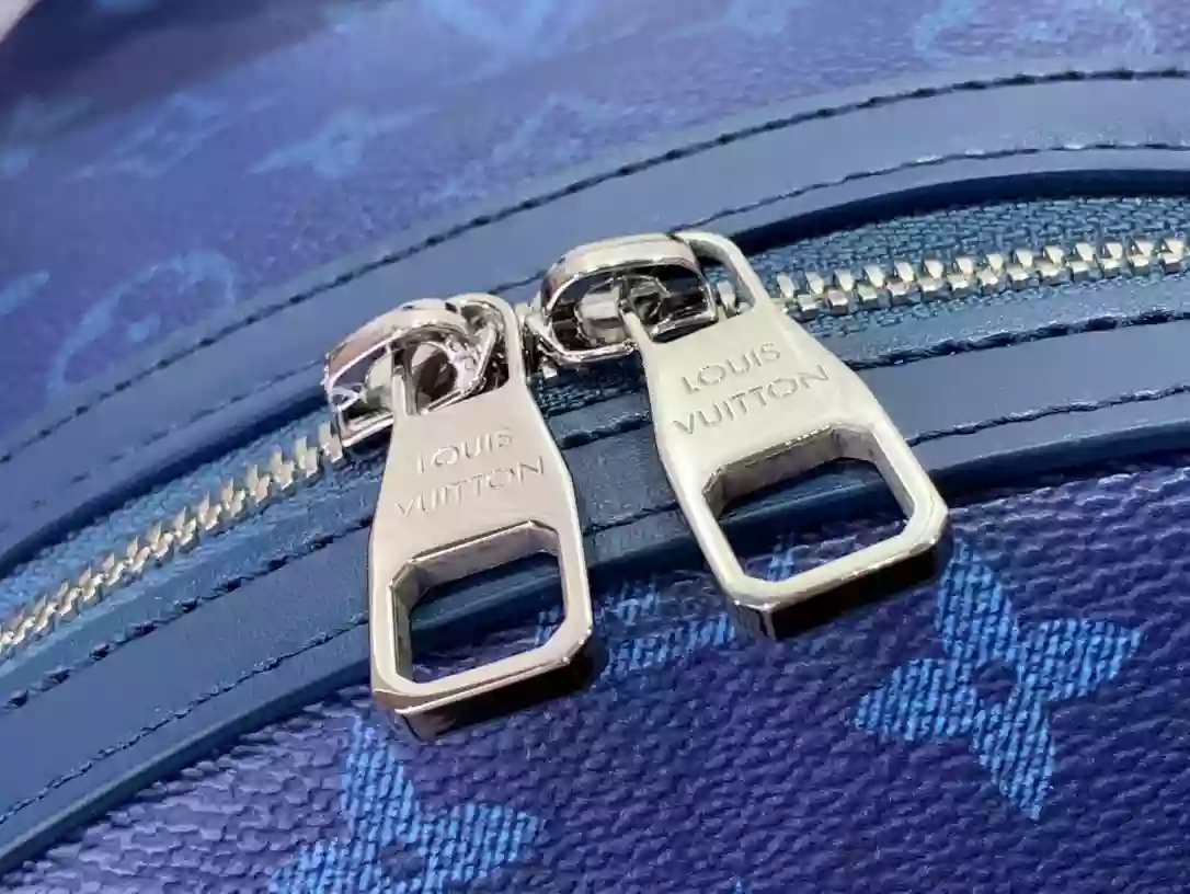 Louis Vuitton Bags