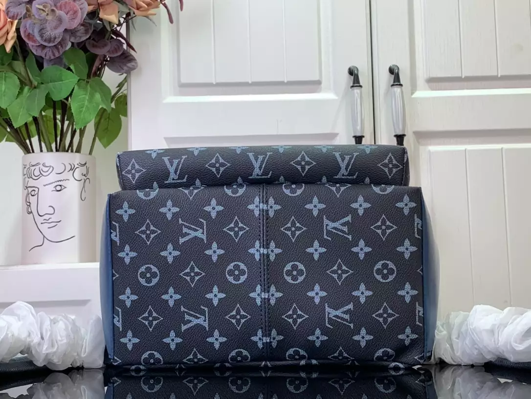 Louis Vuitton Bags
