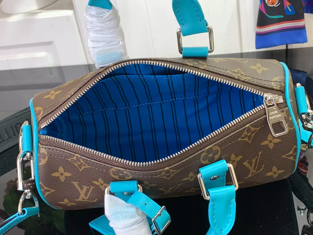 Louis Vuitton Bags