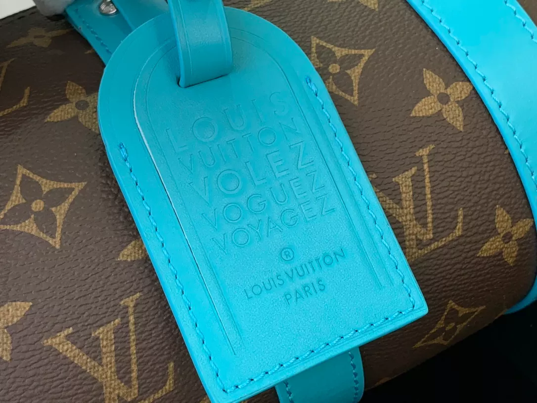 Louis Vuitton Bags