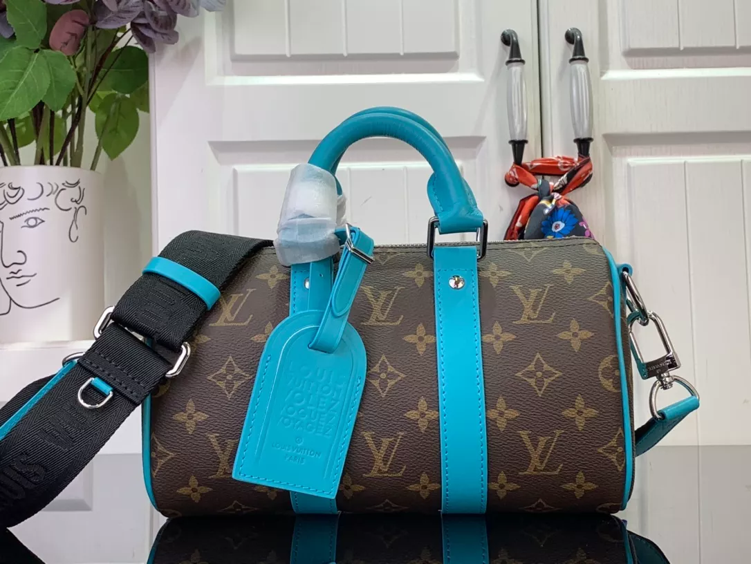 Louis Vuitton Bags