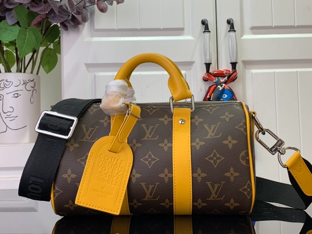 Louis Vuitton Bags
