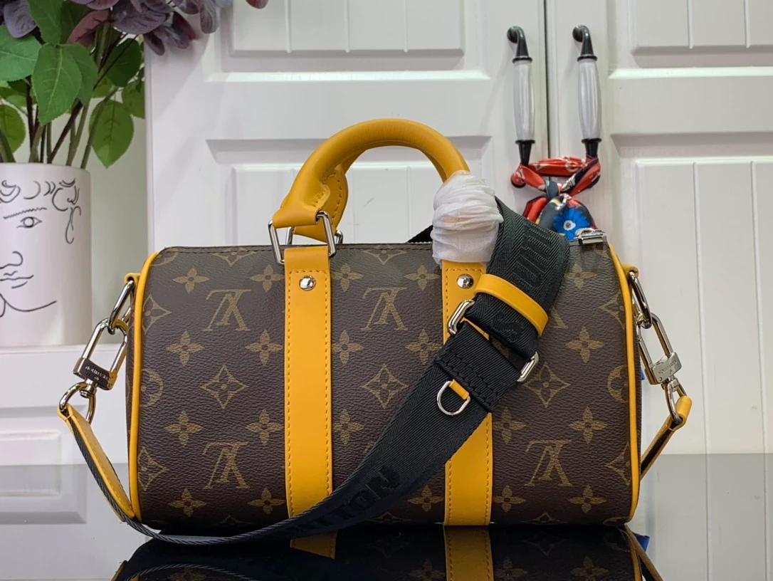Louis Vuitton Bags