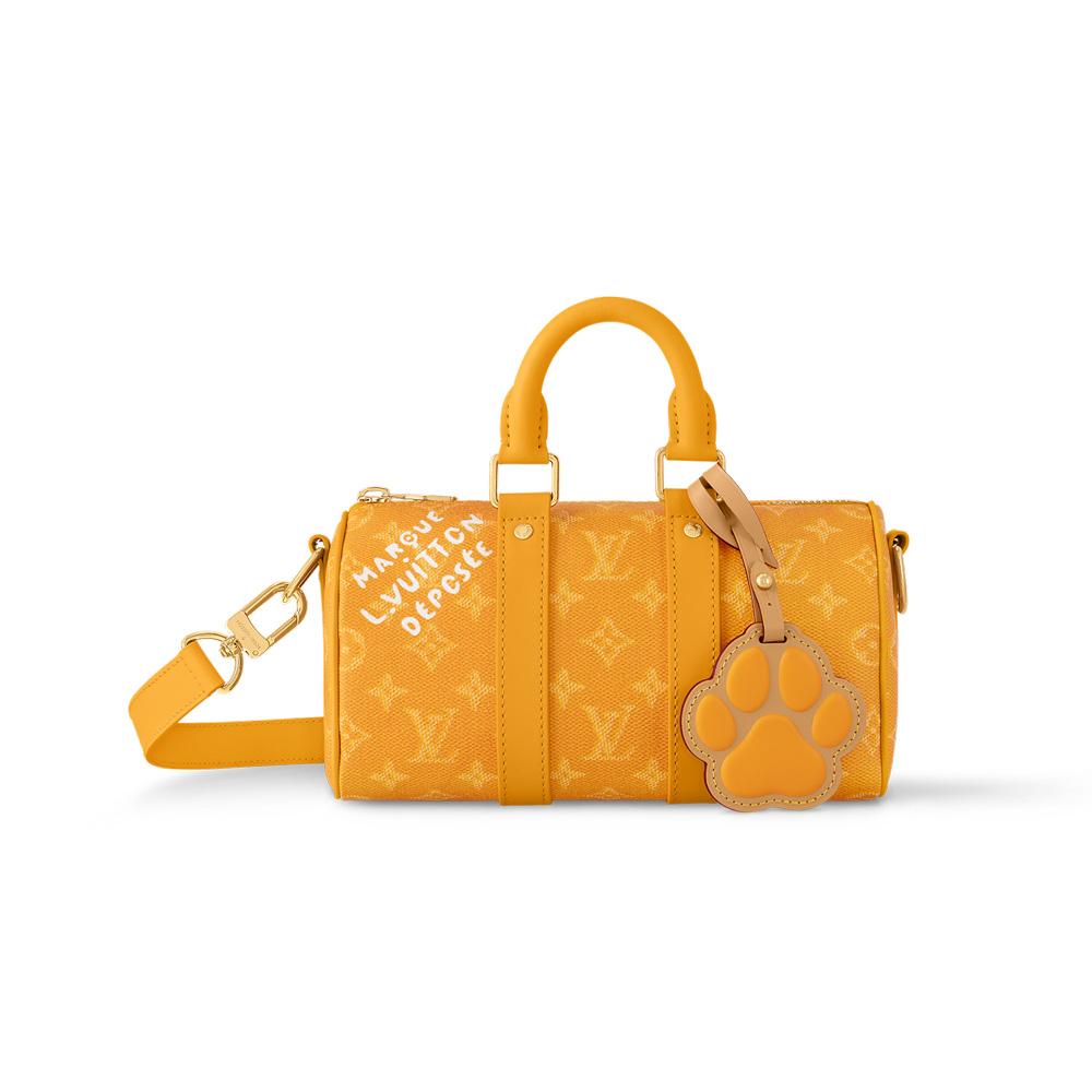 Louis Vuitton Bags