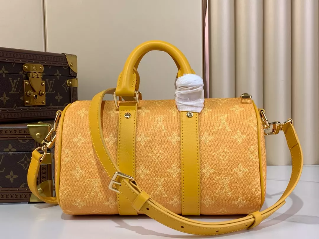 Louis Vuitton Bags