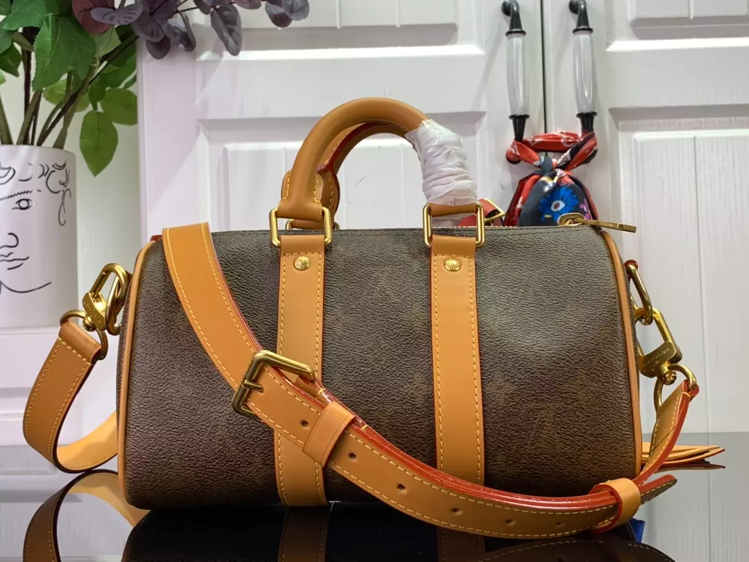 Louis Vuitton Bags