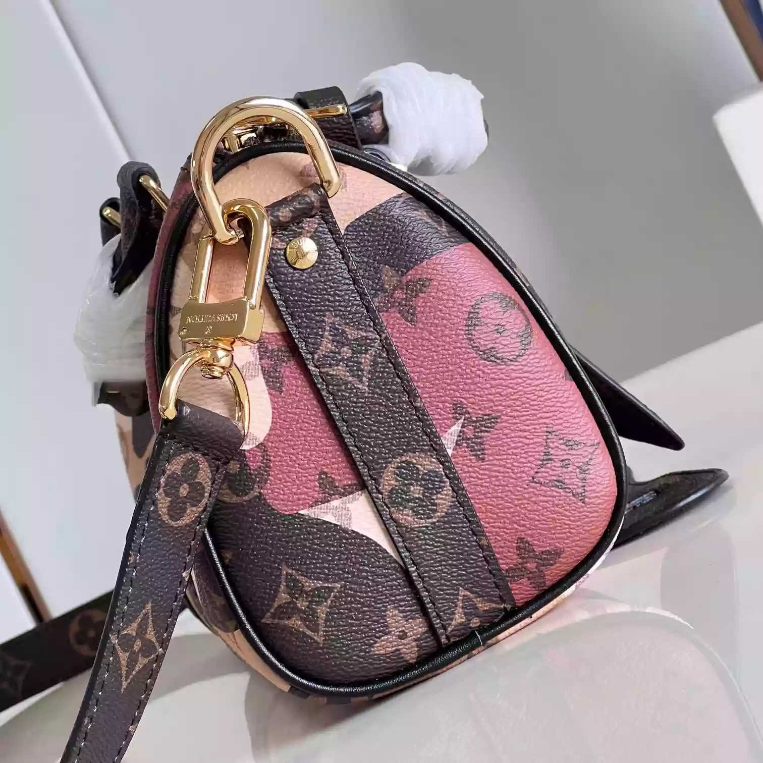 Louis Vuitton Bags