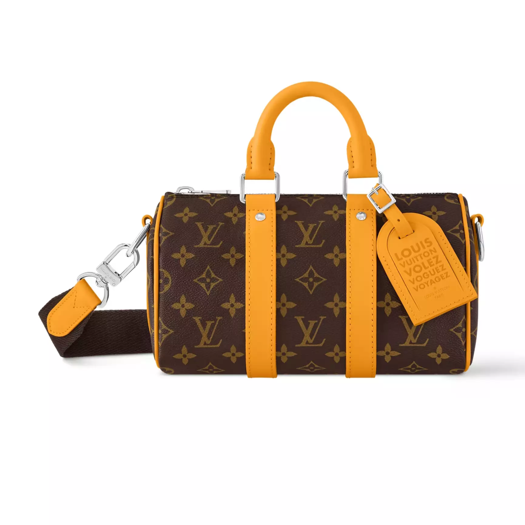 Louis Vuitton Bags
