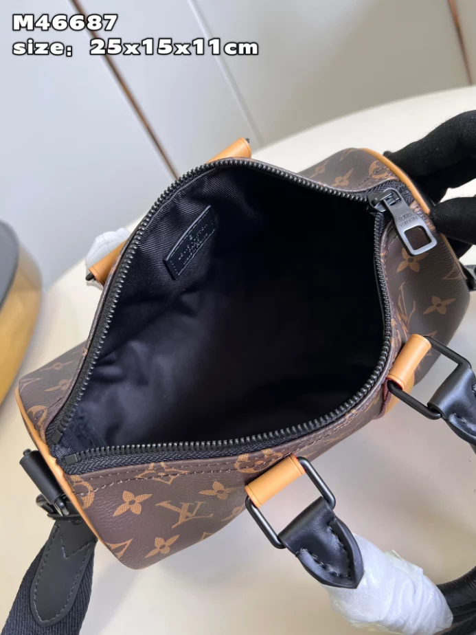 Louis Vuitton Bags
