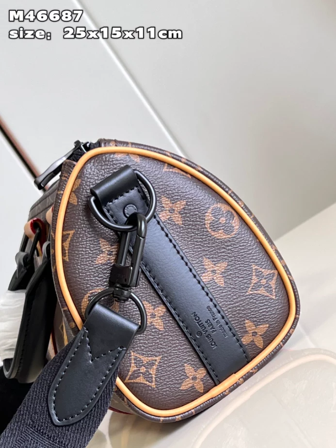 Louis Vuitton Bags