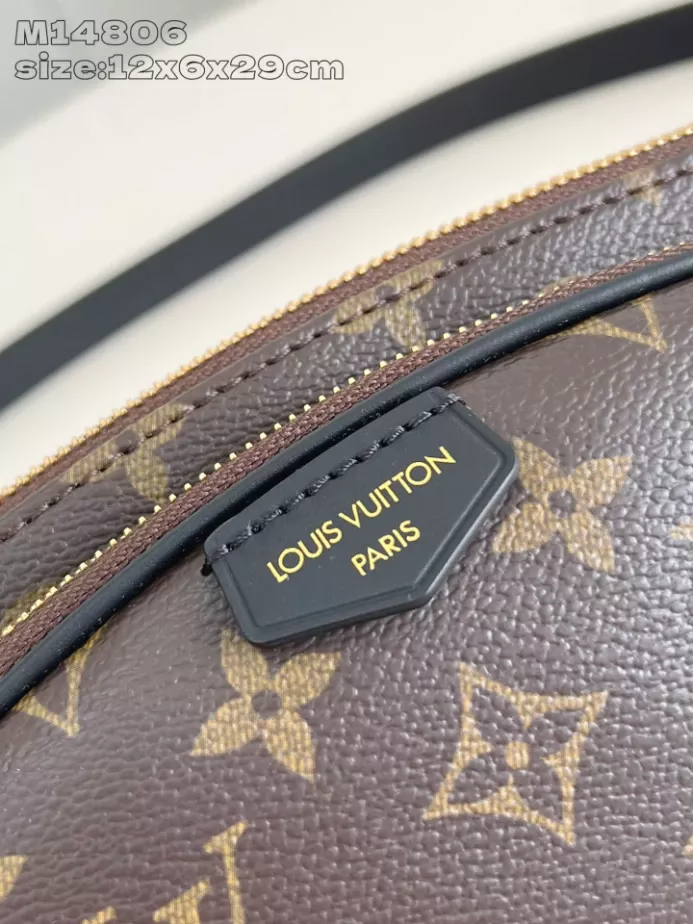 Louis Vuitton Bags