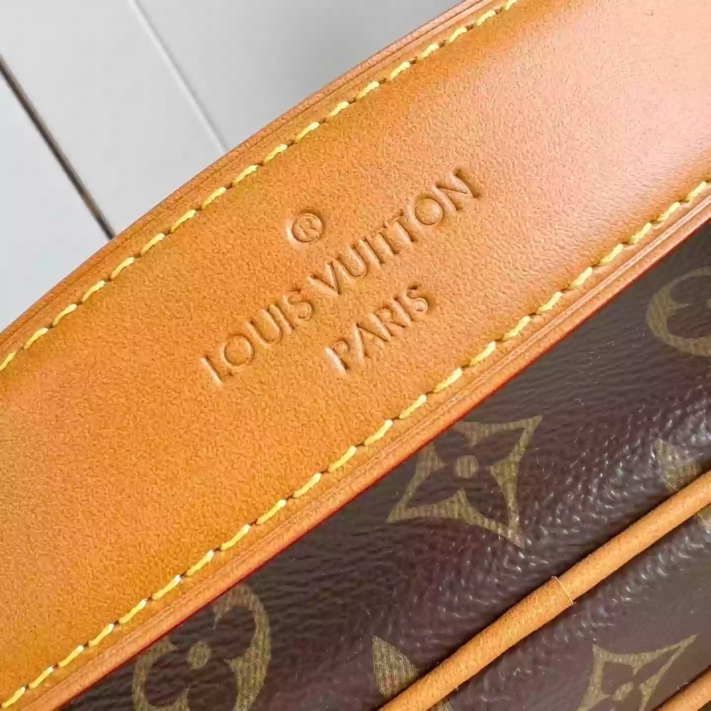 Louis Vuitton Bags