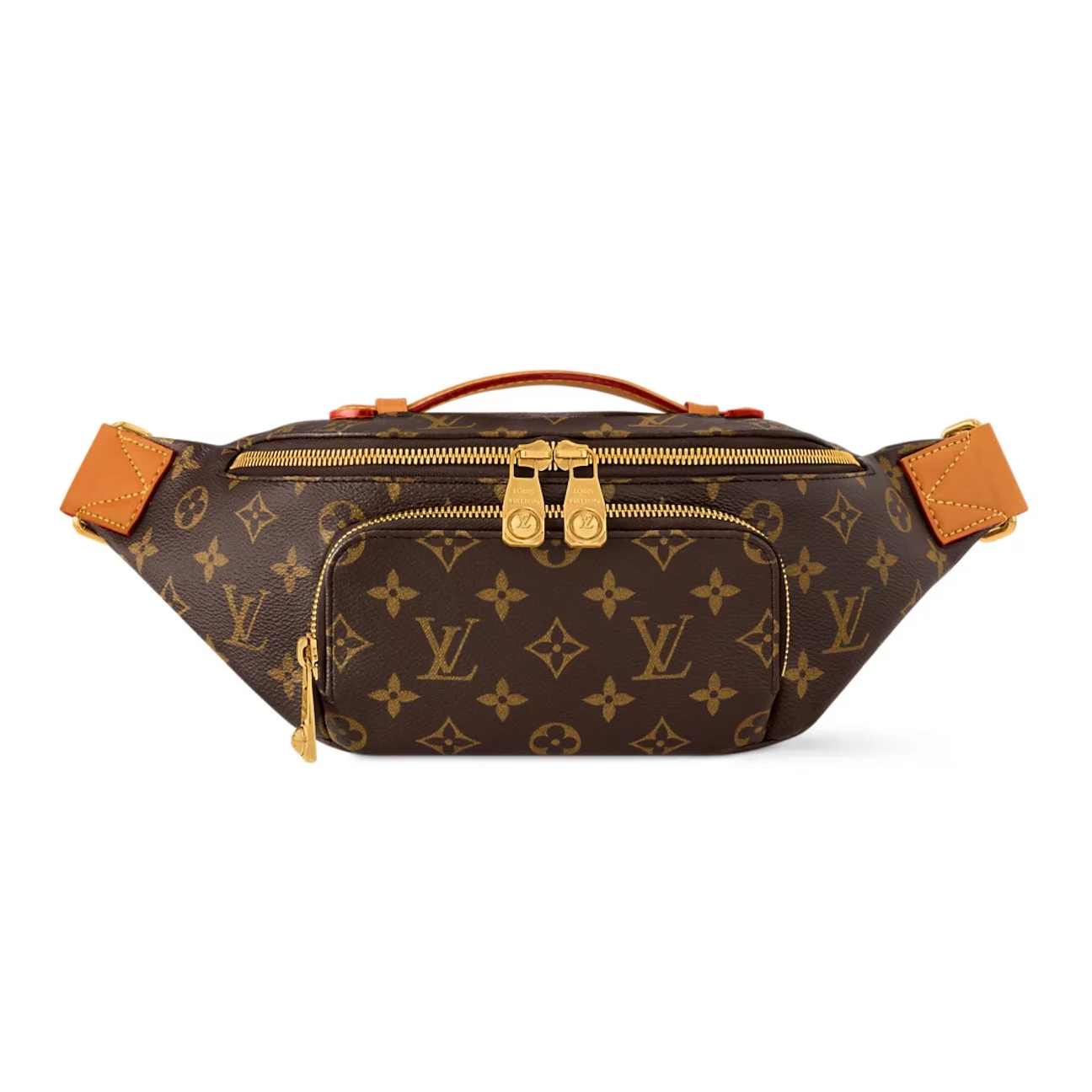 Louis Vuitton Bags