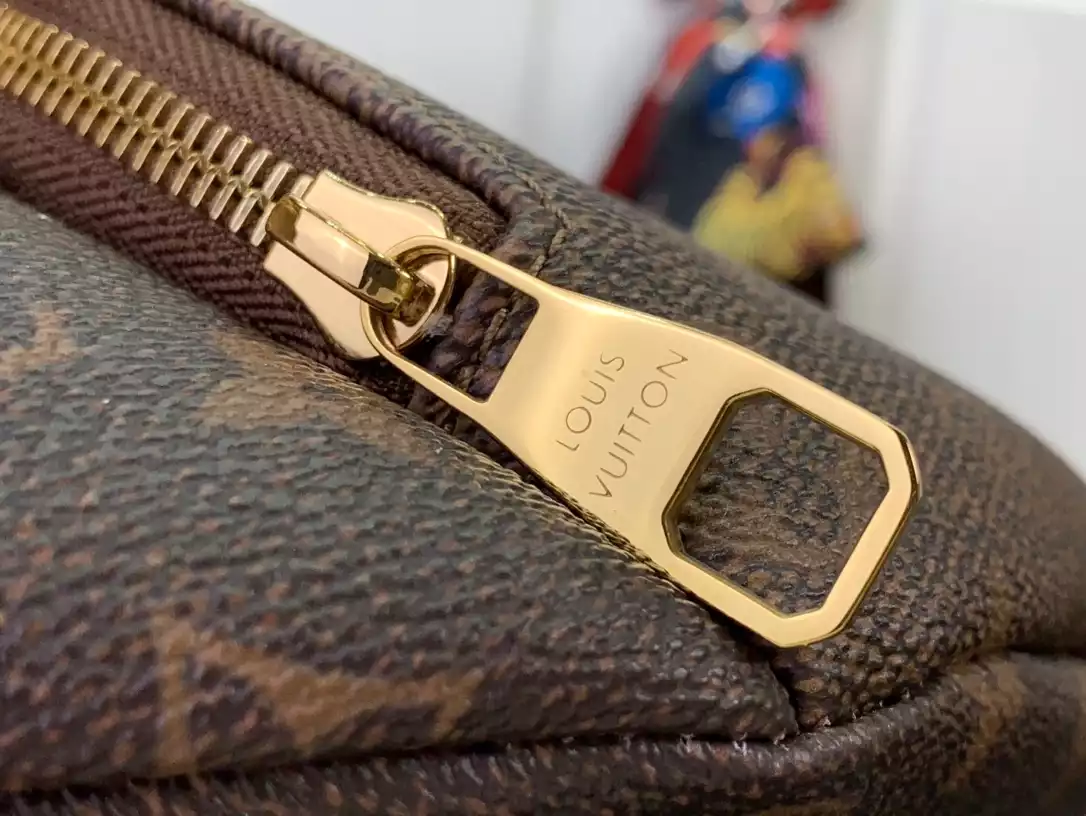 Louis Vuitton Bags