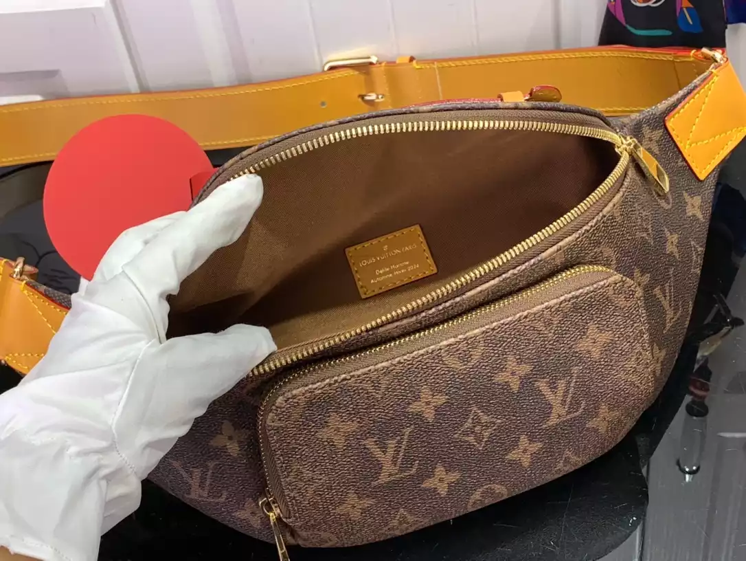 Louis Vuitton Bags