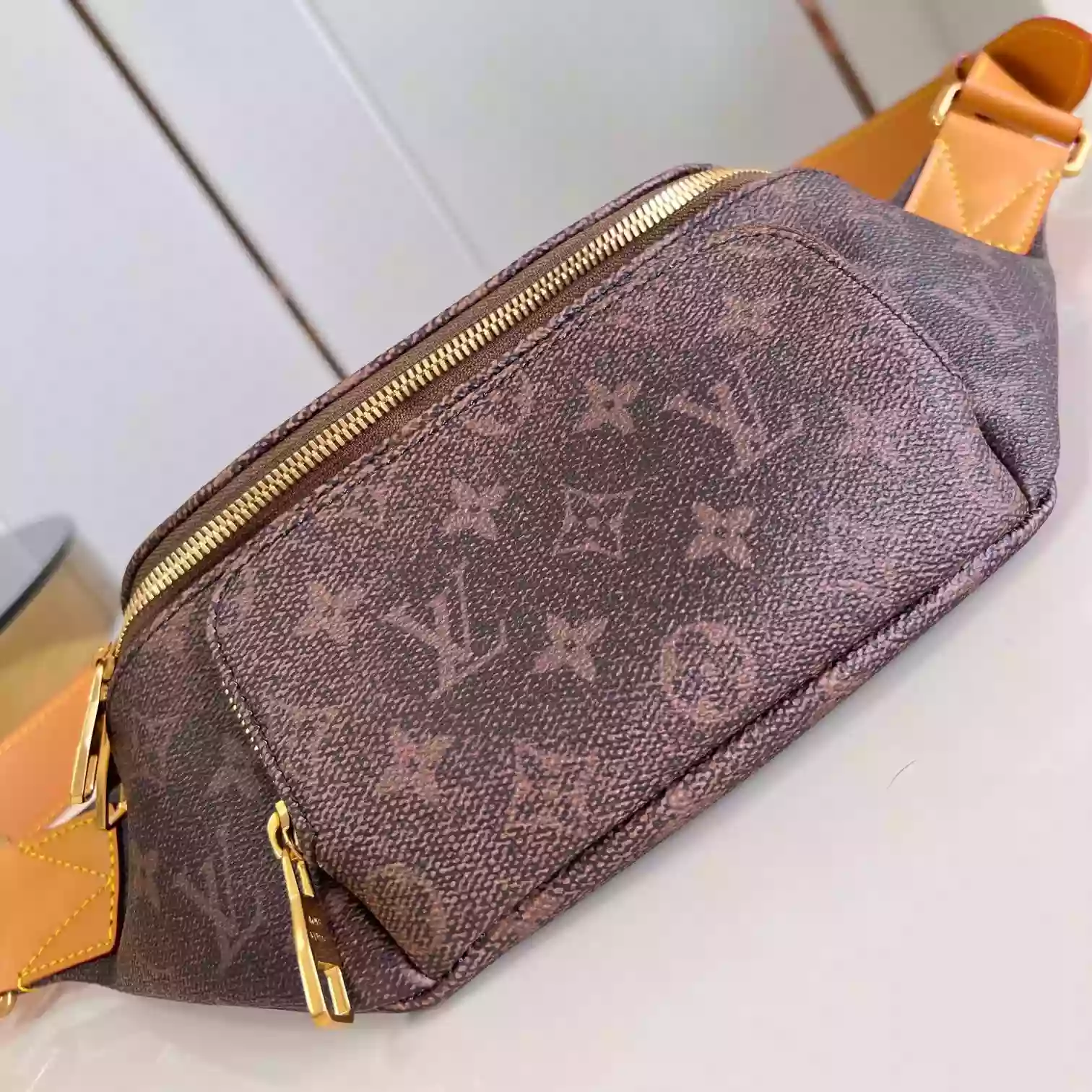 Louis Vuitton Bags