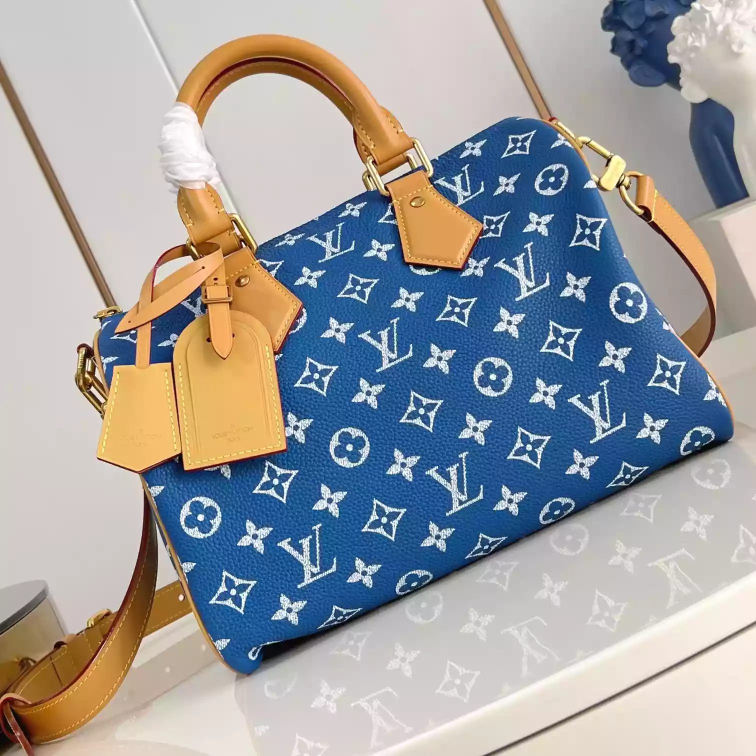 Louis Vuitton Bags