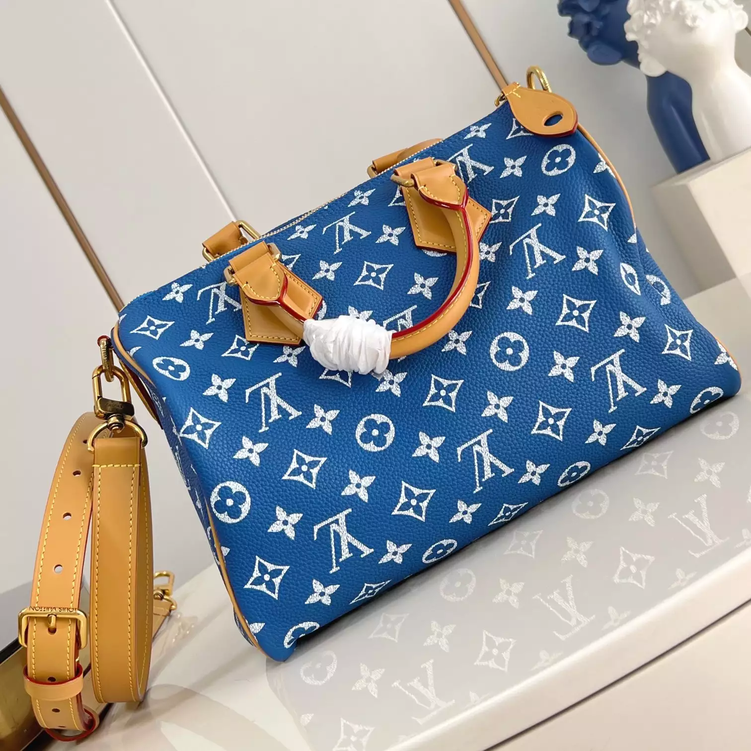 Louis Vuitton Bags