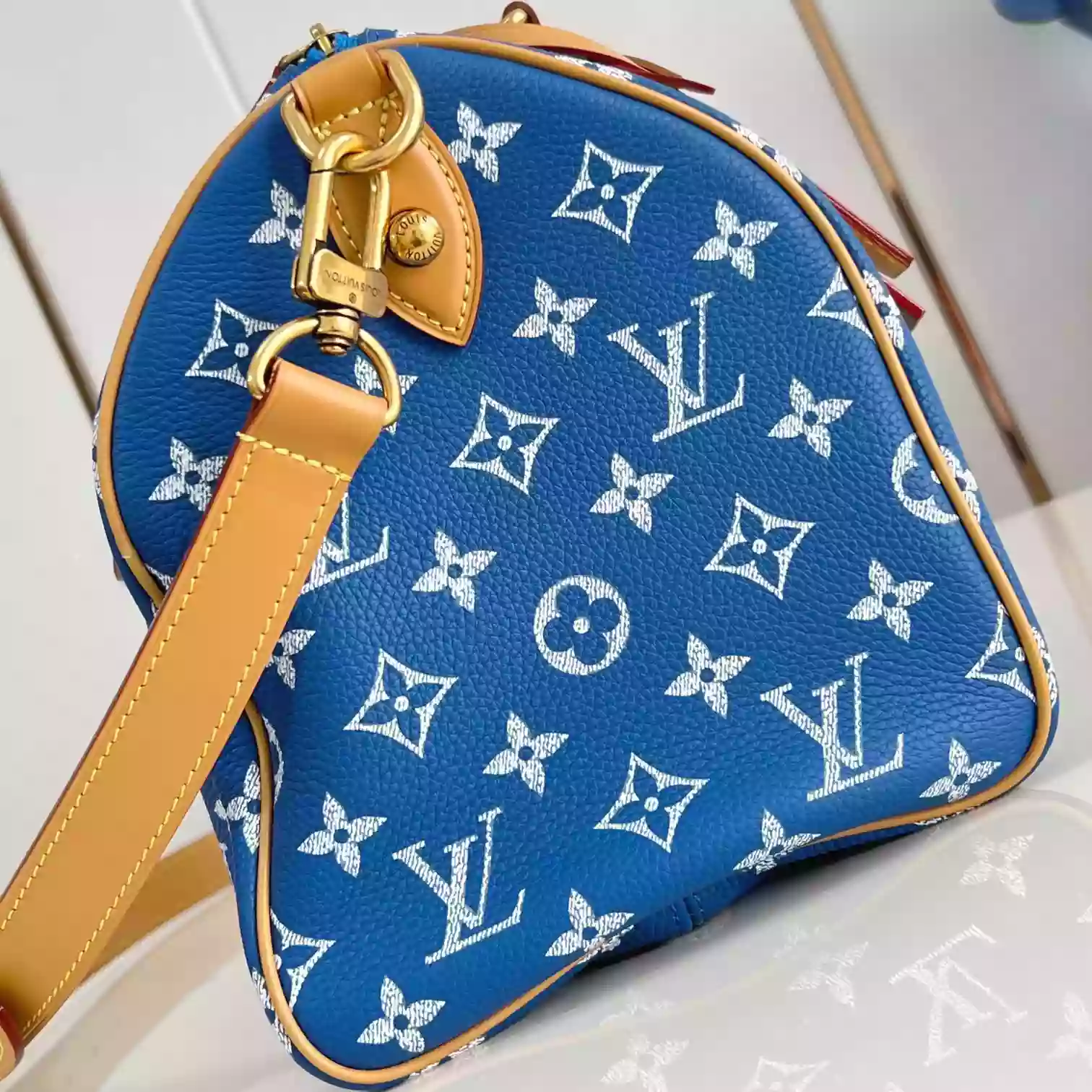 Louis Vuitton Bags