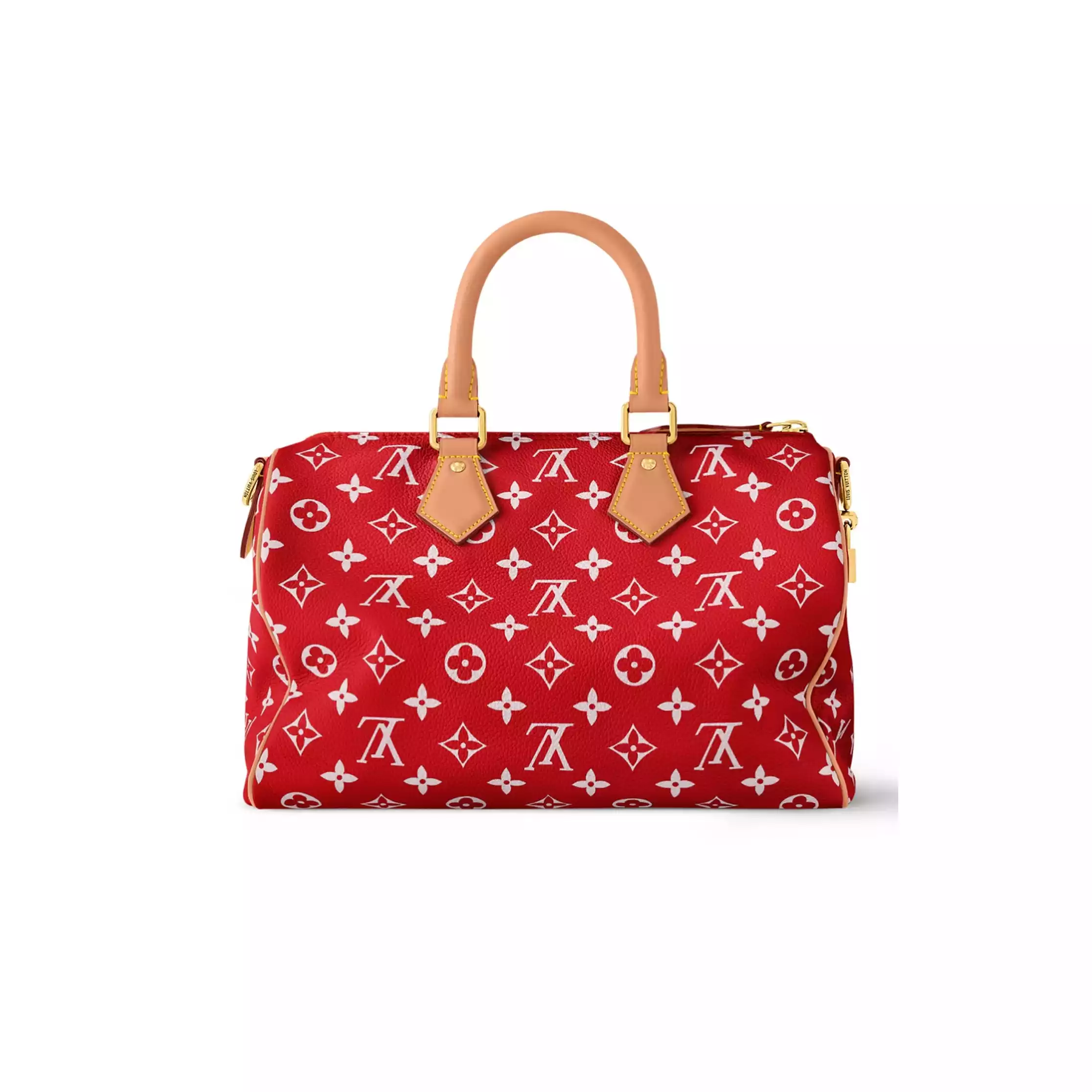 Louis Vuitton Bags