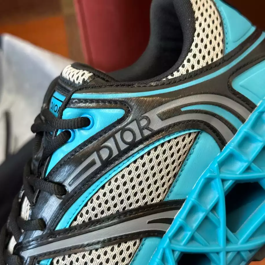 DIOR B35 BLADE COUPLE SNEAKERS