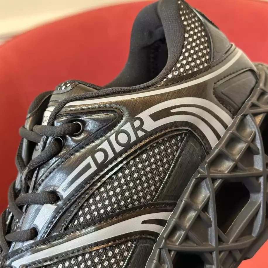 DIOR B35 BLADE COUPLE SNEAKERS